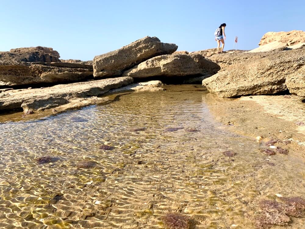 שמורת ים הבונים דור