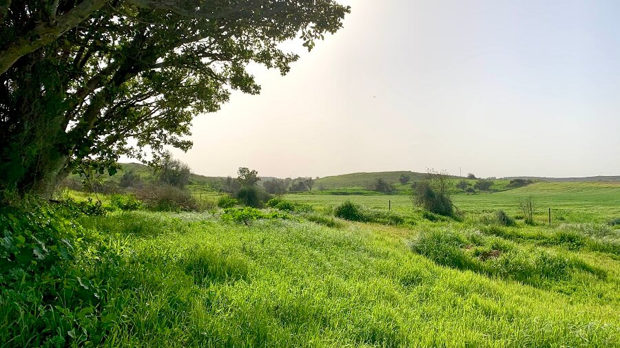 טיולים בנגב המערבי