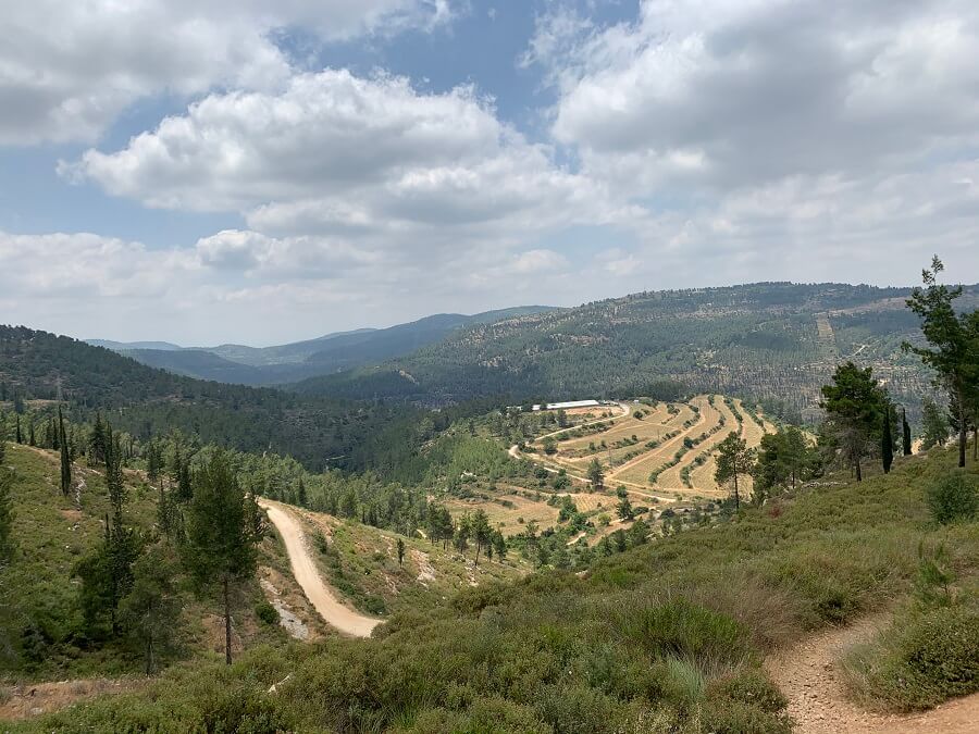 טיול בעמק המעיינות ביער עמינדב