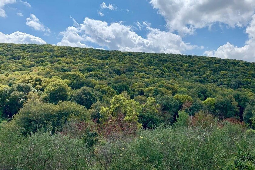 נוף מרהיב בדרך אל מערת המקדש