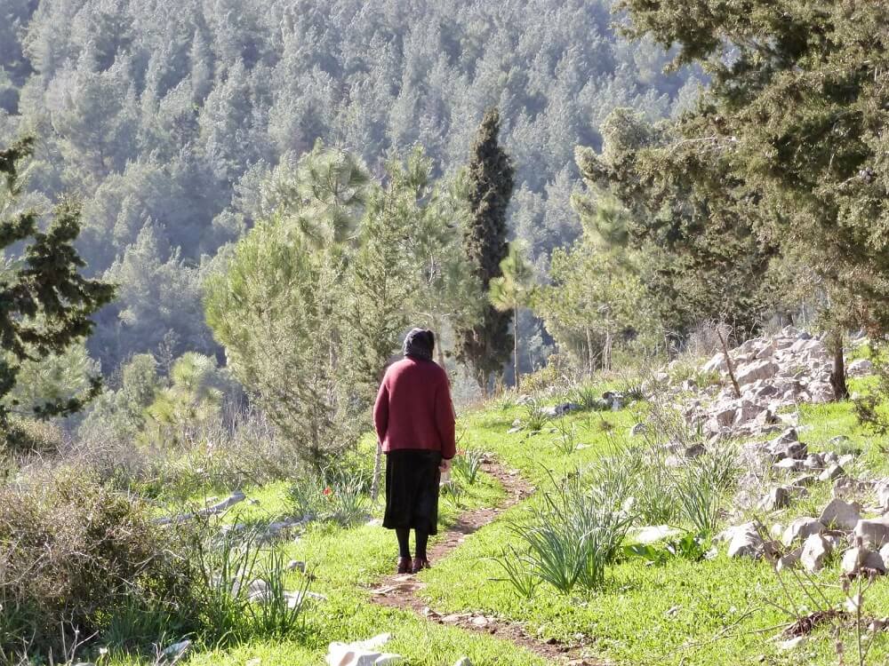 טיול ביער בית קשת