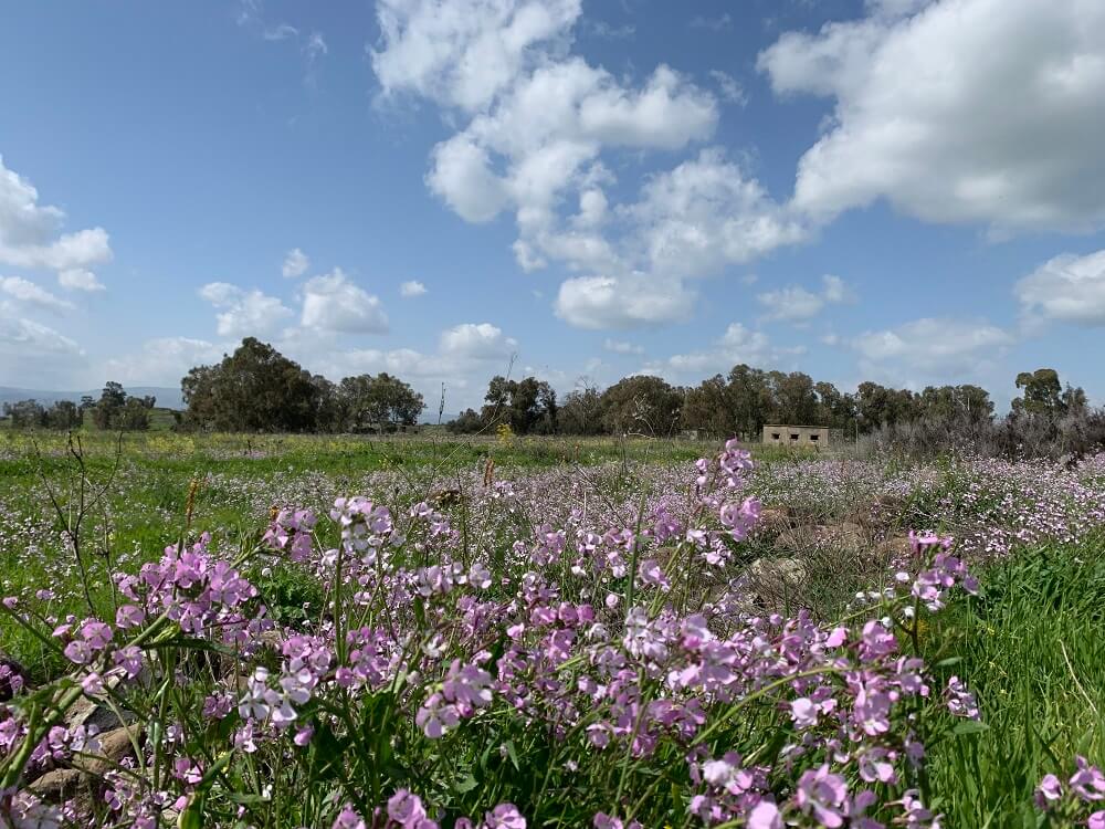 הכניסה לנחל ג'ילבון