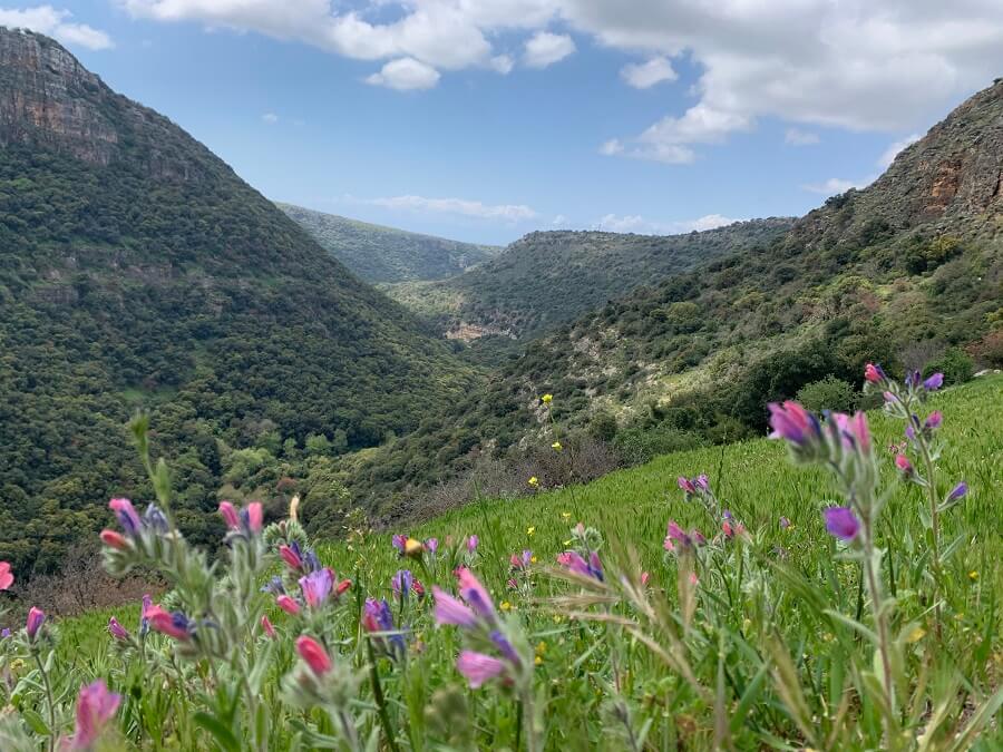 מערת המקדש בגליל המערבי