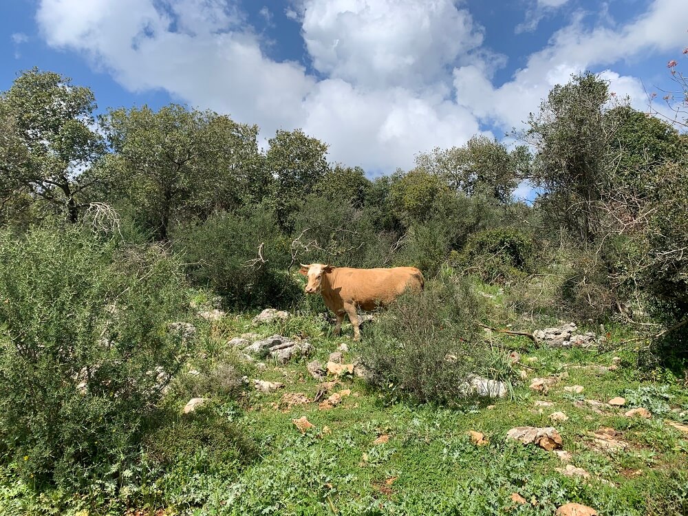 טיולים בגליל המערבי