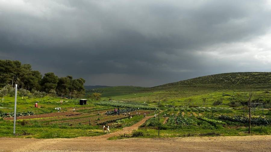 חוות רימון ביער להב